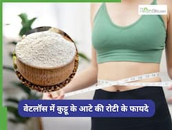 रोजाना खाएं कुट्टू के आटे की रोटी, तेजी से होगा वेट लॉस