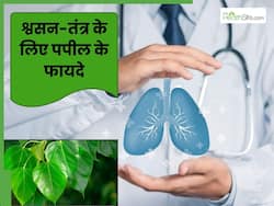 फेफड़ों और गले से जुड़ी इन 5 समस्याओं को दूर करती हैं पीपल की पत्तियां इस तरह से करें उपयोग