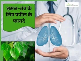 फेफड़ों और गले से जुड़ी इन 5 समस्याओं को दूर करती हैं पीपल की पत्तियां इस तरह से करें उपयोग