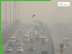 Air Pollution Now Greatest Risk Factor For Dementia Worldwide, Causing 625,000 Deaths