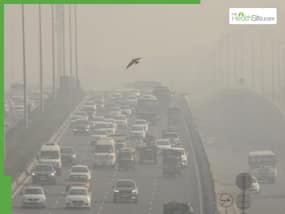 Air Pollution Now Greatest Risk Factor For Dementia Worldwide, Causing 625,000 Deaths Air Pollution Now Greatest Risk Factor For Dementia Worldwide, Causing 625,000 Deaths