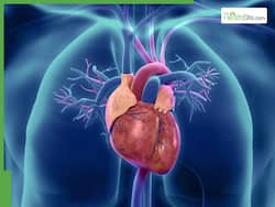 Heart Health: 5 Everyday Medications That Silently Cause Arterial Blockage