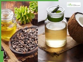 Castor Oil Vs Coconut Oil: Which Is Better For New Hair Growth Castor Oil Vs Coconut Oil: Which Is Better For New Hair Growth