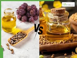Hair Growth Tips In Winter: Castor Oil Vs Coconut Oil - Which Is Better For Boosting Hair Growth In Winter