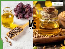 Hair Growth Tips In Winter: Castor Oil Vs Coconut Oil - Which Is Better For Boosting Hair Growth In Winter Hair Growth Tips In Winter: Castor Oil Vs Coconut Oil - Which Is Better For Boosting Hair Growth In Winter