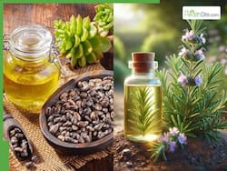 Castor Oil Vs Rosemary Oil: Which Is Better For Hair Growth In Kids?