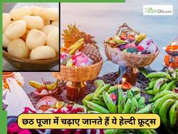 गन्ने से लेकर सिंघाड़े तक, छठ पूजा में जरूर खाएं ये 5 फल, सेहत के लिए हैं बहुत फायदेमंद