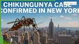 techlusive news