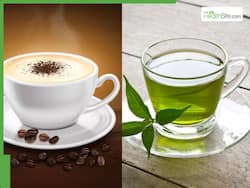 Coffee vs Green Tea: Which Drink Keeps Your Mind Sharp And Fights Alzheimer   s?