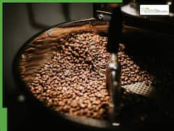 Is Drinking Black Coffee On Empty Stomach Safe? 5 Health Dangers You Didn't Know