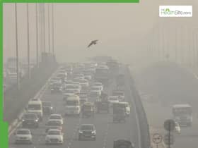 Delhi Air Quality Deteriorates: 5 Precautions For Residents And Travellers As Pollution Levels Surge In NCR Delhi Air Quality Deteriorates: 5 Precautions For Residents And Travellers As Pollution Levels Surge In NCR