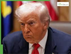 Donald Trump Health Update: Was the US President Hospitalised? Recent Visit to Walter Reed Sparks Concern