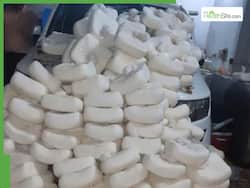 550 Kg of Fake Paneer Seized In Haryana: 7 Simple Tests To Identify Fake Paneer At Home