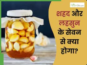 खाली पेट लहसुन और शहद खाने से क्या होता है? फायदे जानकर हैरान हो जाएंगे आप