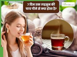 7 दिन तक खाली पेट लहसुन की चाय पीने से क्या होता है? जानें पीने का सही तरीका और फायदे