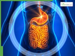 Harvard Trained Gastroenterologist Shares 6 'Healthy' Foods That Are Secretely Wrecking Your Guts