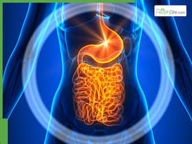 Harvard Trained Gastroenterologist Shares 6 'Healthy' Foods That Are Secretely Wrecking Your Guts