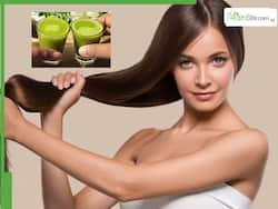 7 Powerful Health Benefits of Amla, Ginger, and Curry Leaves Shot To Regrow Hair Naturally This Winter