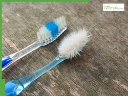 Hanging On To your Old Toothbrush? It Might Be Crawling With The Dangerous Germs You Can't See