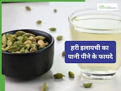 आपकी सेहत के लिए वरदान है हरी इलायची का पानी, फायदे जानकर जरूर करेंगे डाइट में शामिल