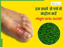 2 रुपये के इस पत्ते से यूरिक एसिड करें कंट्रोल, जोड़ों में जमा क्रिस्टल टूटकर हो जाएगा बाहर