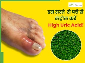 2 रुपये के इस पत्ते से यूरिक एसिड करें कंट्रोल, जोड़ों में जमा क्रिस्टल टूटकर हो जाएगा बाहर