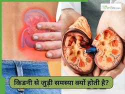 किडनी खराब होने का क्या कारण होता है? डॉक्टर ने बताया सुबह की ये 6 आदते हैं बड़ी खतरनाक