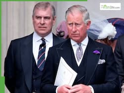 King Charles, Prince William Reportedly Worried About Former Prince Andrew   s Mental Health, What We Know