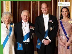 King Charles Health BIG Update: What Is Happening To The UK Monarch As Prince William Prepares to    Step Up Fast