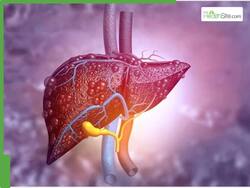 Nighttime Back Pain And 5 Other Signs Of Liver Damage You Should Never Ignore