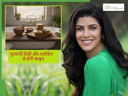 घर पर आसानी से बनाएं मुल्तानी मिट्टी और एलोवेरा से बेस्ट नेचुरल साबुन, सुबह-शाम नहाएं तो दिखेगा असर