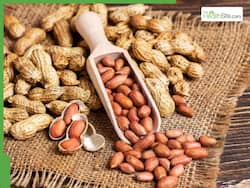 7 Amazing Health Benefits Of Consuming Peanuts During Winter