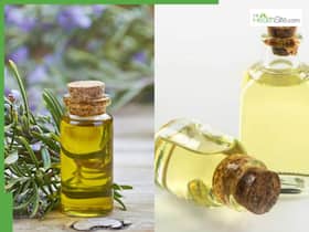Rosemary Oil vs Castor Oil: Which Is Better For Hair Growth In Men Rosemary Oil vs Castor Oil: Which Is Better For Hair Growth In Men