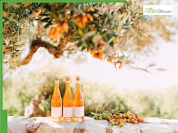 Sea Buckthorn Juice Benefits: The Ultimate Morning Drink for Energy, Digestion And Immunity