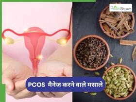 किचन के ये 3 मसाले हैं PCOS के लिए सुपरफूड्स, आज ही बनाएं डाइट का हिस्सा
