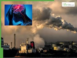 World Stroke Day 2025: How Air Pollution Is Increasing Stroke Risk? Know Ways To Stay Safe