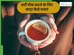 सर्दी के लिए काढ़ा कैसे बनाएं? जानें 2 असरदार रेसिपी, जिनसे तुरंत मिलेगा आराम