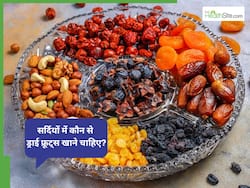 Winter Diet: सर्दियों में कौन-कौन से ड्राई फ्रूट्स खाने चाहिए?