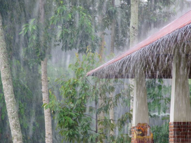क्या दिल्ली में होने वाली Artificial Rain हेल्थ के लिए नुकसानदायक है? डॉक्टर से जानें सच