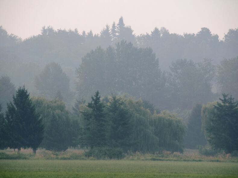क्या दिल्ली में होने वाली Artificial Rain हेल्थ के लिए नुकसानदायक है? डॉक्टर से जानें सच