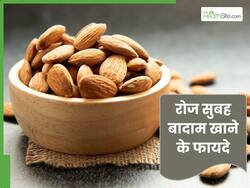 रोज सुबह खाएं 5 बादाम, सेहत को मिलेंगे ये जबरदस्त फायदे