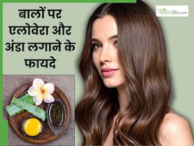 सर्दियों में बालों पर मिक्स करके लगाएं एलोवेरा और अंडा, दूर होंगी ये 4 समस्याएं सर्दियों में बालों पर मिक्स करके लगाएं एलोवेरा और अंडा, दूर होंगी ये 4 समस्याएं