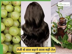 आंवला ऑयल या भृंगराज का तेल, दोनों में से हेयर ग्रोथ के लिए कौन सा तेल सही है?