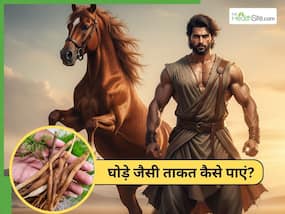 घोड़े जैसी ताकत लाने के लिए क्या खाएं? 5 आयुर्वेदिक जड़ी बूटियां हैं बड़ी असरदार