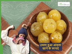 सर्दियों से पहले ही खाना शुरू कर दें रोज एक उबला आंवला, फायदे जानकर हैरान रह जाएंगे आप