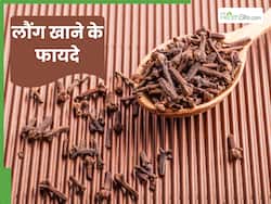 1 सप्ताह तक खाली पेट लौंग खाने से क्या होता है? फायदे जान भी जरूर खाएंगे