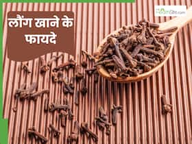 1 सप्ताह तक खाली पेट लौंग खाने से क्या होता है? फायदे जान भी जरूर खाएंगे