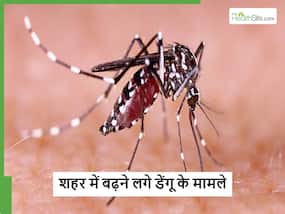 गाजियाबाद में डेंगू का आतंक जारी 24 घंटे में बढ़े तीन मामले, लक्षण महसूस होते ही डॉक्टर को करें फोन