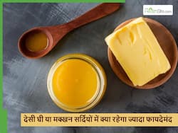 देसी घी या मक्खन, सर्दियों में किसका सेवन करना चाहिए? किससे मिलेगा स्वास्थ्य को ज्यादा फायदा