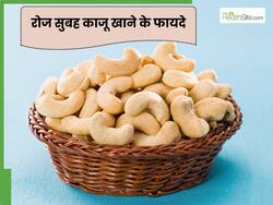 रोज सुबह 5 काजू खाने से मिलेंगे ये फायदे, इस तरह करें रोज की डाइट में शामिल